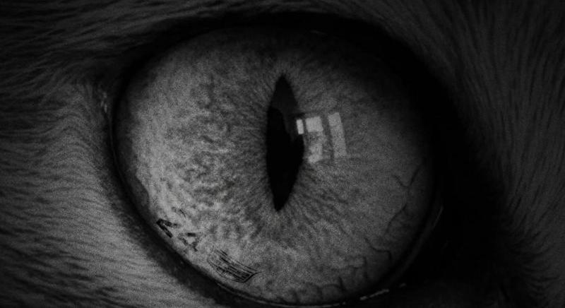 Holnap bejelent a Cadillac – erősen utaltak arra, hogy mit!