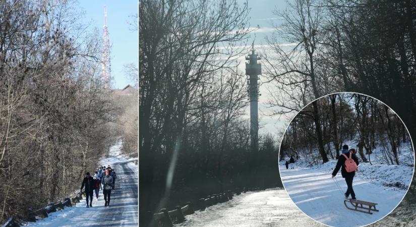 Szánkók mindenütt: Megrohamozták a családok a Siklósi várat és a Hármashatár-hegyet - Galéria