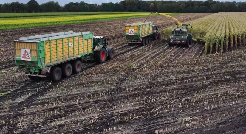 Irdatlan dolog épült Németországban, valódi rekord lett belőle