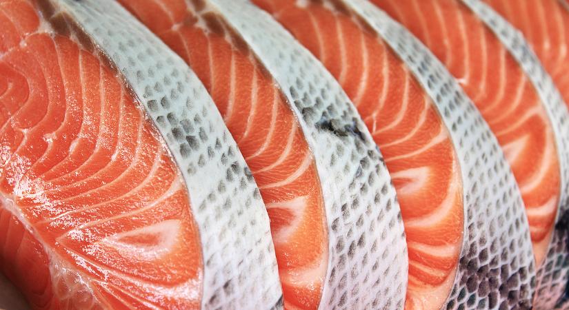 Rejtélyes rózsaszín iszap jelent meg, a lazactenyésztés lehet felelős érte