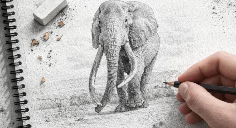 Elpusztult Craig, Afrika egyik legismertebb, ritka agyarú elefántja