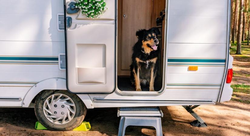 30 másodpercen múlt az életük – kutyájuk ébresztette fel a lángoló lakóautóban alvó anya‑lány párost