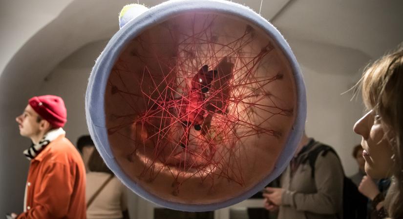 Két semmi között egy pofon – Gondolatok egy „neurodivergens kiállítás” ürügyén