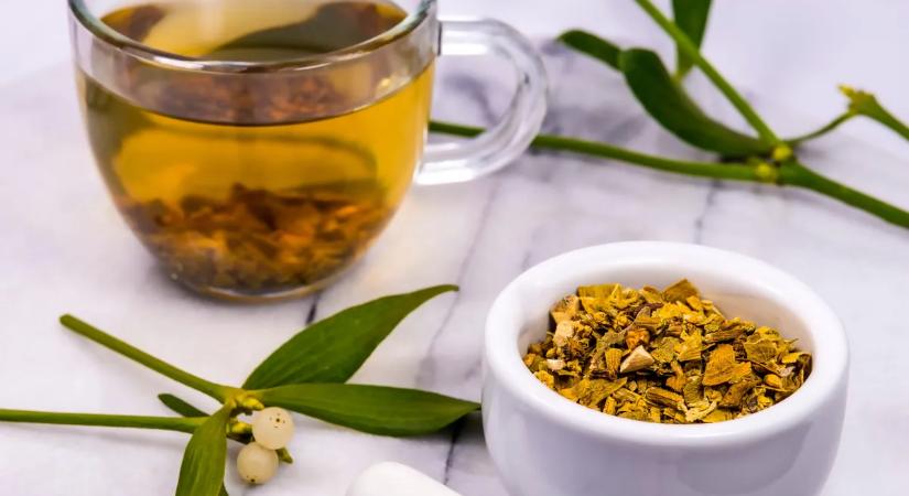 A fehér fagyöngy gyógyhatása: a magas vérnyomás egyik legjobb orvossága