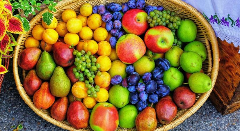 A gyümölcs, amelyre mindig számíthattunk – most lejtmenetben a termesztés