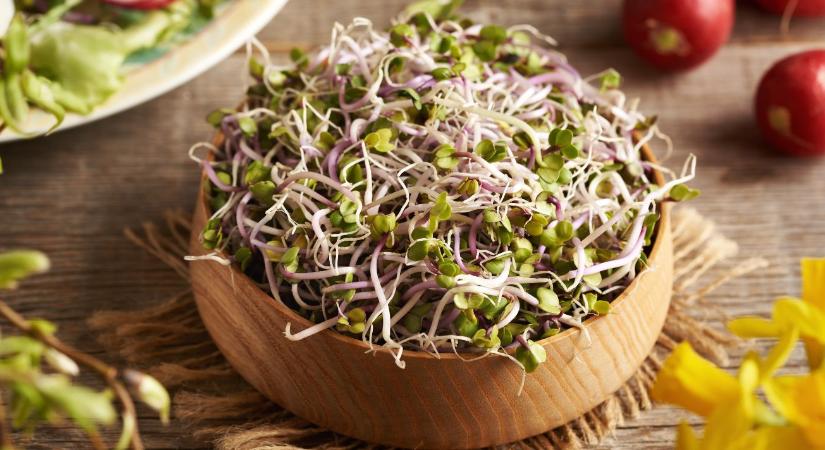 Kicsi, de koncentrált – Mit tudnak valójában a mikrozöldek?