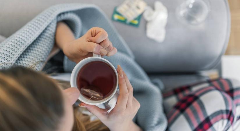 Ezek a gyógynövények a legmakacsabb megfázást is elűzik