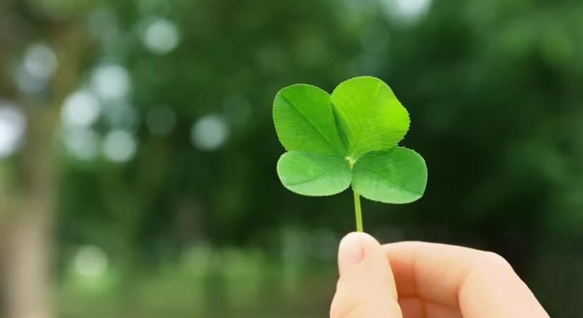 Ezt a színt válaszd 2026 első hónapjára, ha bevonzanád a szerencsét