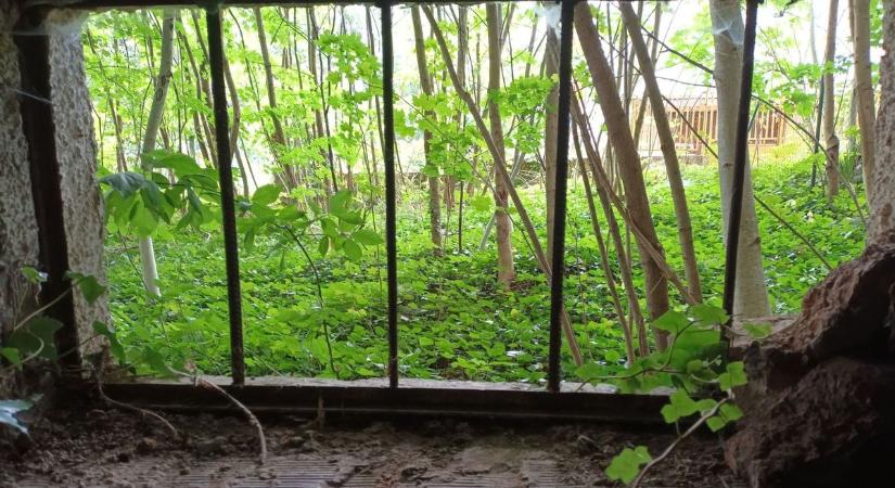 Időkapszulát találtak egy hevesi házban – különös kincsekre bukkantak