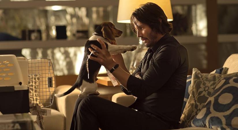 Ez történt igazából John Wick kutyájával