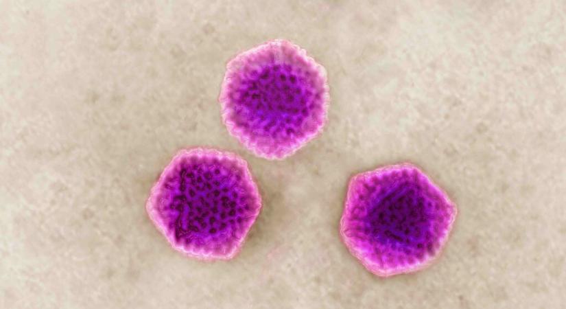 Vírusos vagy bakteriális a torokfájásod? Ez a gyógyszer mindkettőnél támogatást ad