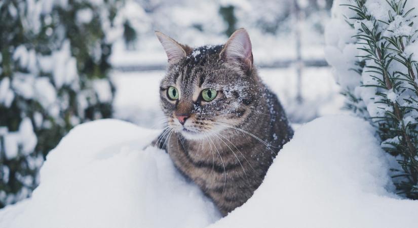 Néhol akár -19 fok is lehet, kezdődik a nagy havazás, jön az ónos eső – figyelmeztetések, friss térkép