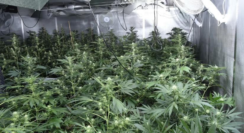 Hatalmas drogfarmot fedeztek fel egy rendőrőrssel szemben