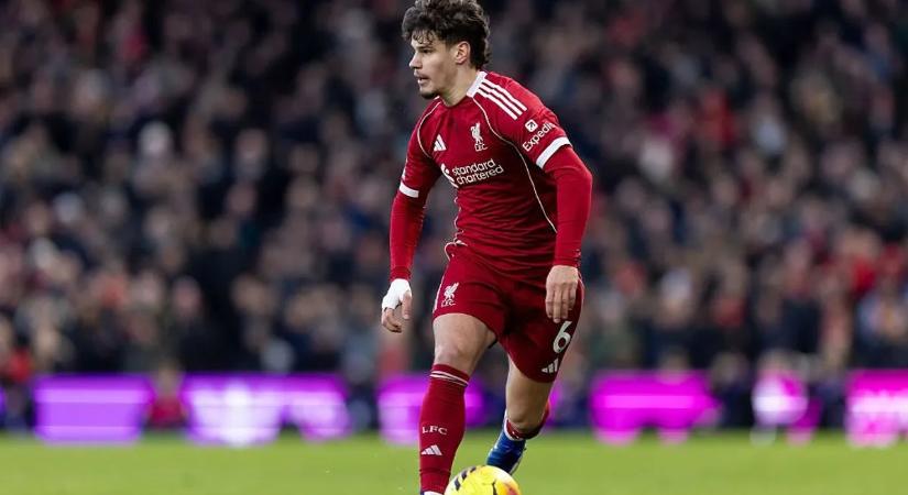 Kerkez Milos megalázó kritikát kapott Liverpoolban