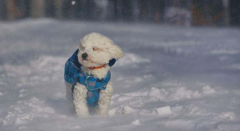Újabb hófelhők kúsznak Győr-Moson-Sopron fölé hétfőn