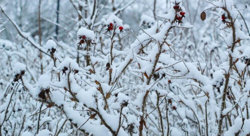 Január nem az újrakezdés hónapja – és ez teljesen rendben van