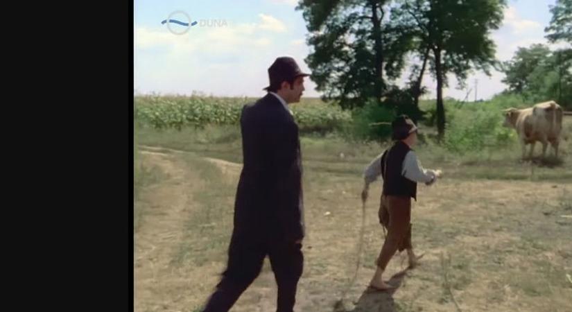 Iszonyatos bakit szúrtak ki az Indul a bakterházban, eddig senki nem vette észre