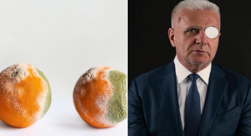 Felföldi József: “Kedves honfitársaim! Rohad a narancs!”