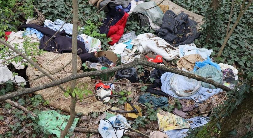 Újra ellepte a szemét a Maros-parti erdőt, nem áll le a makói gyűjtögető