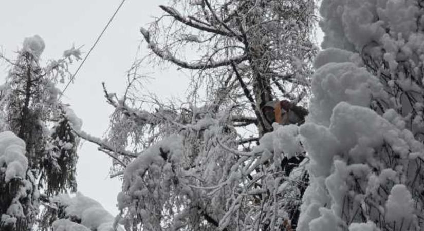 Több ezer fogyasztó maradt áramellátás nélkül a hóvihar miatt