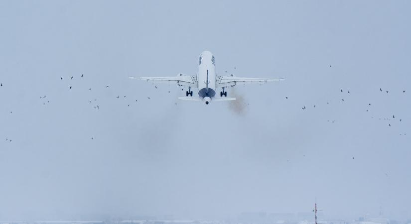 Képeken a madárrajjal ütköző repülőgép, amely kényszerleszállást hajtott végre Budapesten