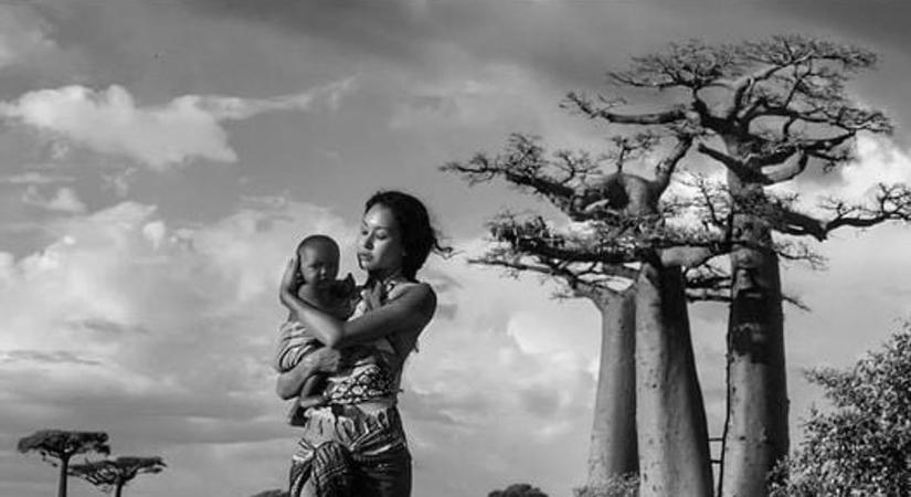 Pozsgai Zsolt forgatókönyve a Golden Globe versenyen is nyerő lett