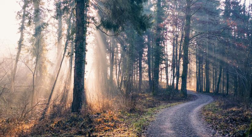 Napi üzenet hétfő – 2026. 01. 05.