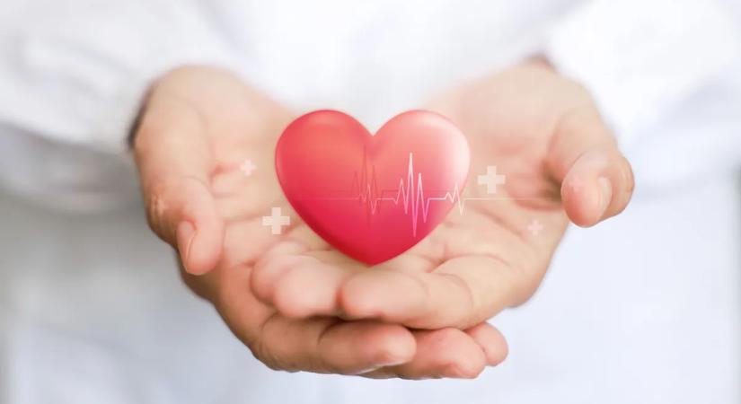 A szakértő árulta el: ezekre a jelekre figyelj, kiderül, van-e szívbetegséged