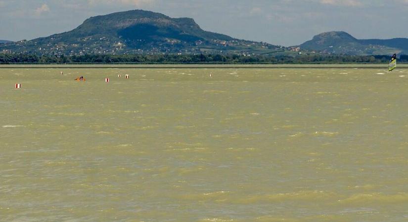 A Balatonba is jutott a kísérleti telepről megszökött kártékony állatból, máig küzdenek vele