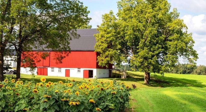 Új rendelet vonatkozik a zártkertekre, nem jár mindenkinek automatikusan a könnyítés