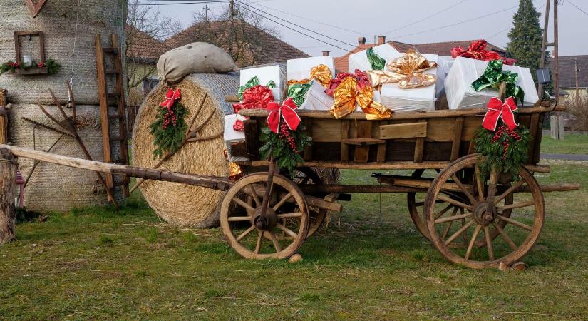 Egy magyar szülinapi ajándék robbantotta fel az internetet, a fél világ ezen a meglepetésen röhög