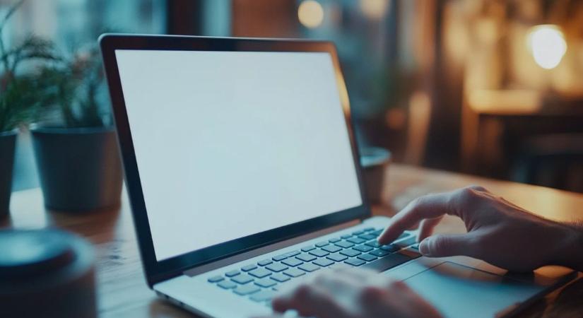 Adószáma sem volt a netes kereskedőnek, a NAV revizorjai nem díjazták a húzását