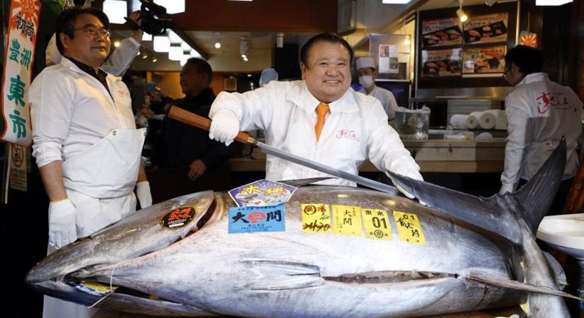 Egymilliárd forintért adtak el egy halat egy japán árverésen