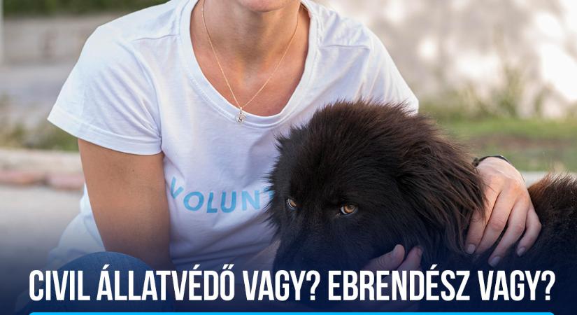 Elindul Magyarország első, diplomához nem kötött állatvédelmi ösztöndíjprogramja