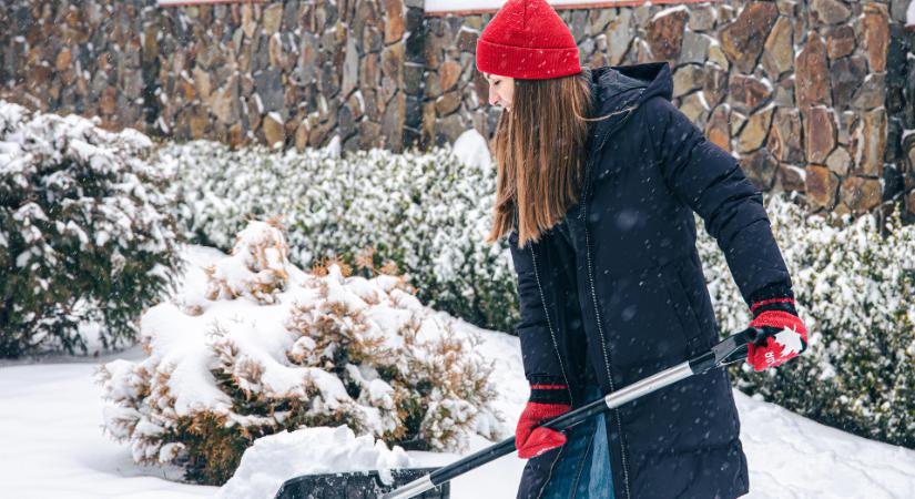 Január a kertben: ezek a halaszthatatlan tennivalók
