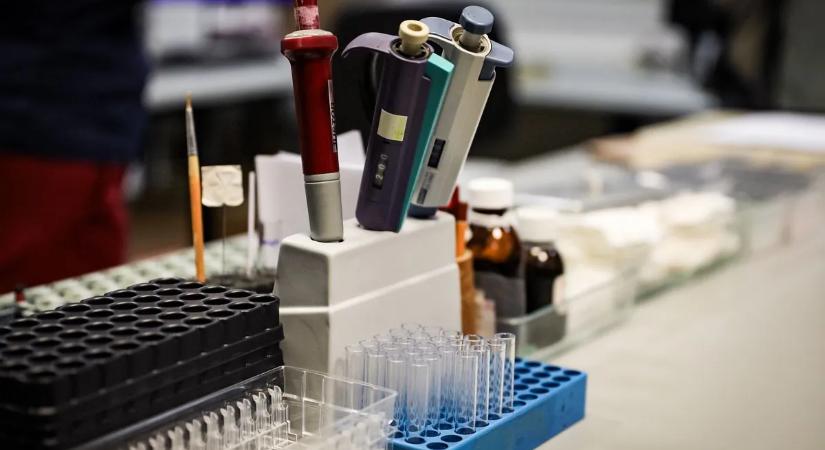 "Egy apró fiolányi vér mentette meg az életemet" - mondta a fiatal nő, akinél ritka rákbetegséget diagnosztizáltak