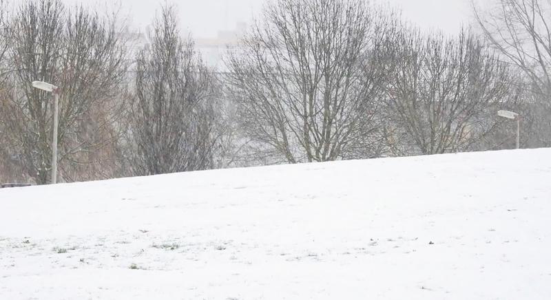 Fehérbe borult a Városliget