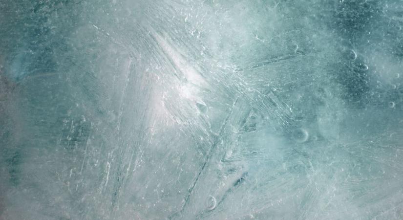 Baj a vízben - Segélykiáltás a halaktól