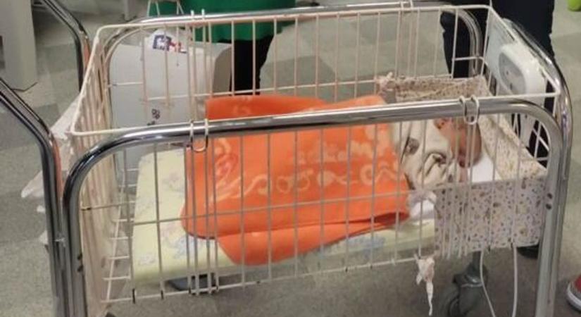 Isten hozott Máté! Megszületett az év első dunaújvárosi babája