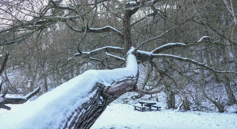 Kutya hidegre ébredtek a Bakonyban, újabb rekord dőlt meg