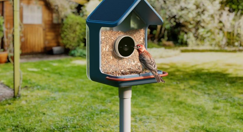 Úgy elkapkodták az okos madáretetőket, mint cinegék a szotyolát