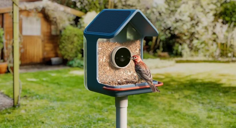 Látnak és fülelnek ezek az állatbarát madáretetők