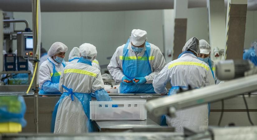 Látszólag nincsenek nagy problémák, közben sok vállalkozás egyre nehezebben képes megtartani és megfizetni a munkaerőt