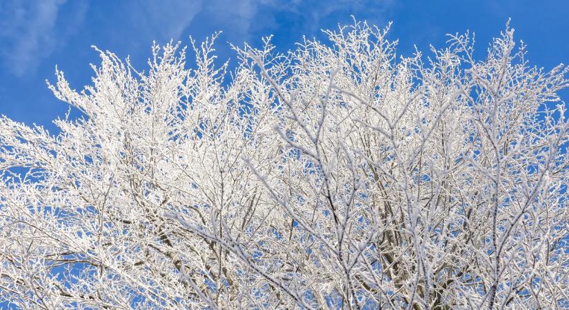 Megszólalt a havazás kapcsán az Országos Mentőszolgálat