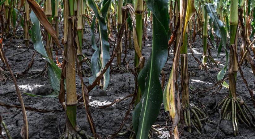 Kiszáradt a hatalmas víztároló, ötször akkora a területe, mint Magyarországnak