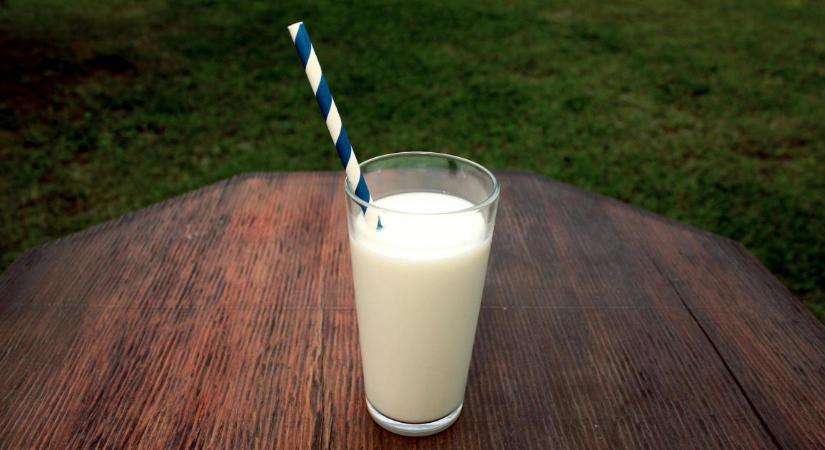 Újabb pályázattal segítik a tejtermelő gazdálkodókat