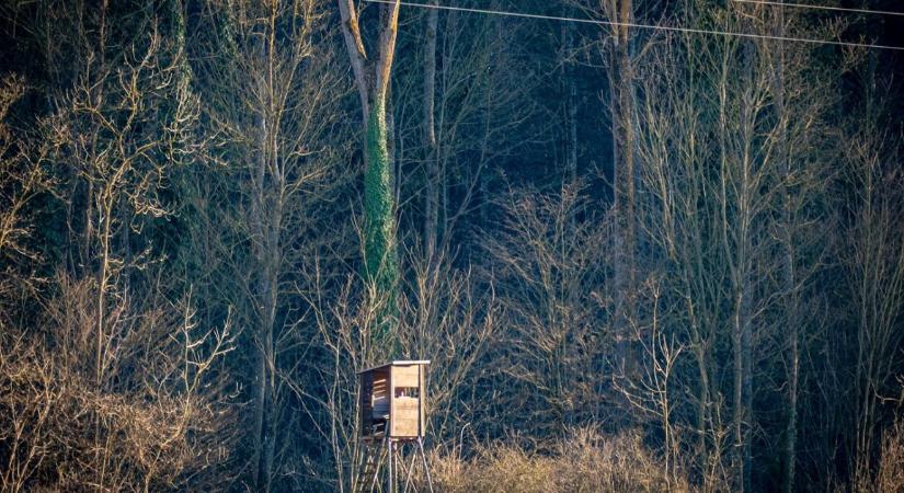 Vadászbalesetben életét vesztette egy középiskolás fiú