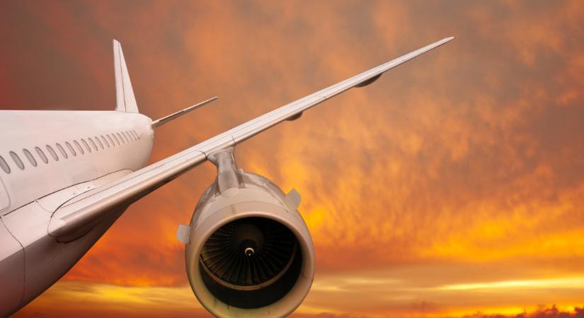 Lezuhanhat egy a repülő, ha madárrajjal ütközik?