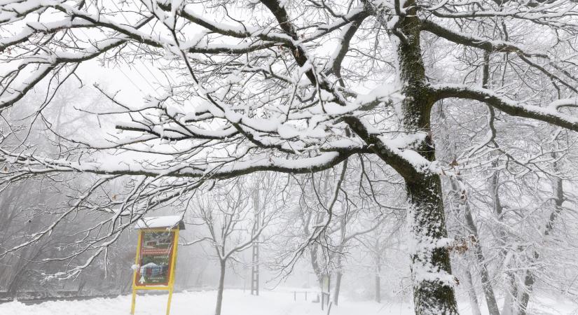 Frissítették a riasztást: brutális időjárás csaphat le Csongrád-Csanád és Békés vármegye egyes járásaira