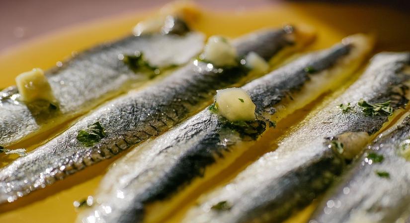 Figyelem, azonnal dobja el, nehogy fogyasszon ebből a szardellából!